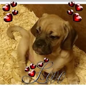 Meet your Posher, Annamarie